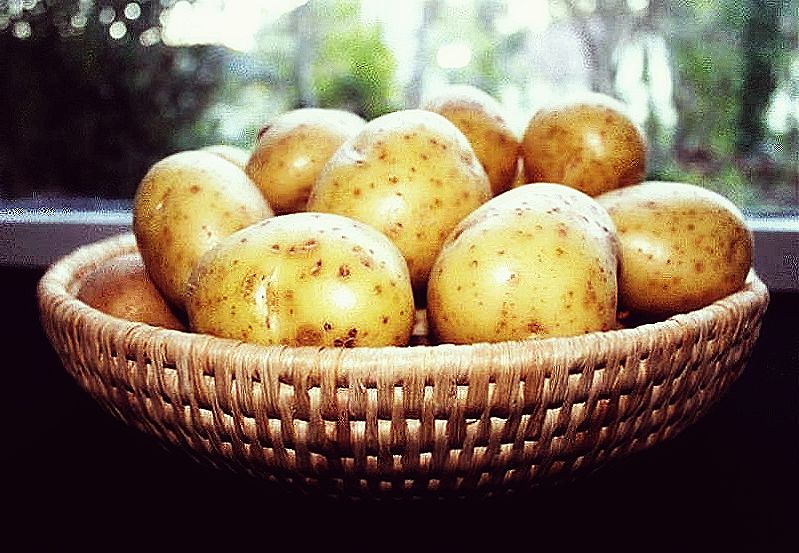 Как вкусно приготовить молодой картофель - 7 лучших рецептов