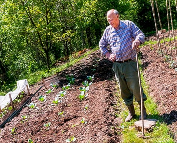 100 самых распространенных ошибок, допускаемых дачниками