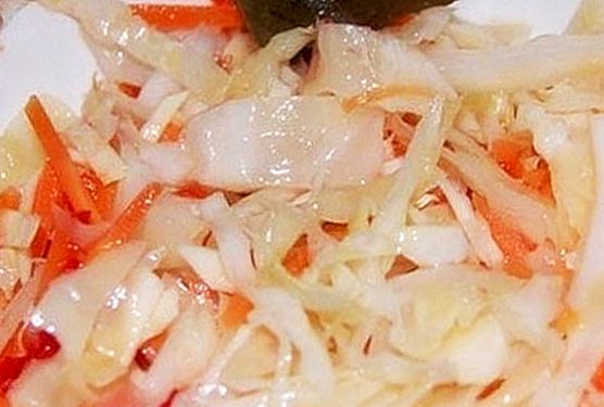 Рецепт самой вкусной квашенной капусты