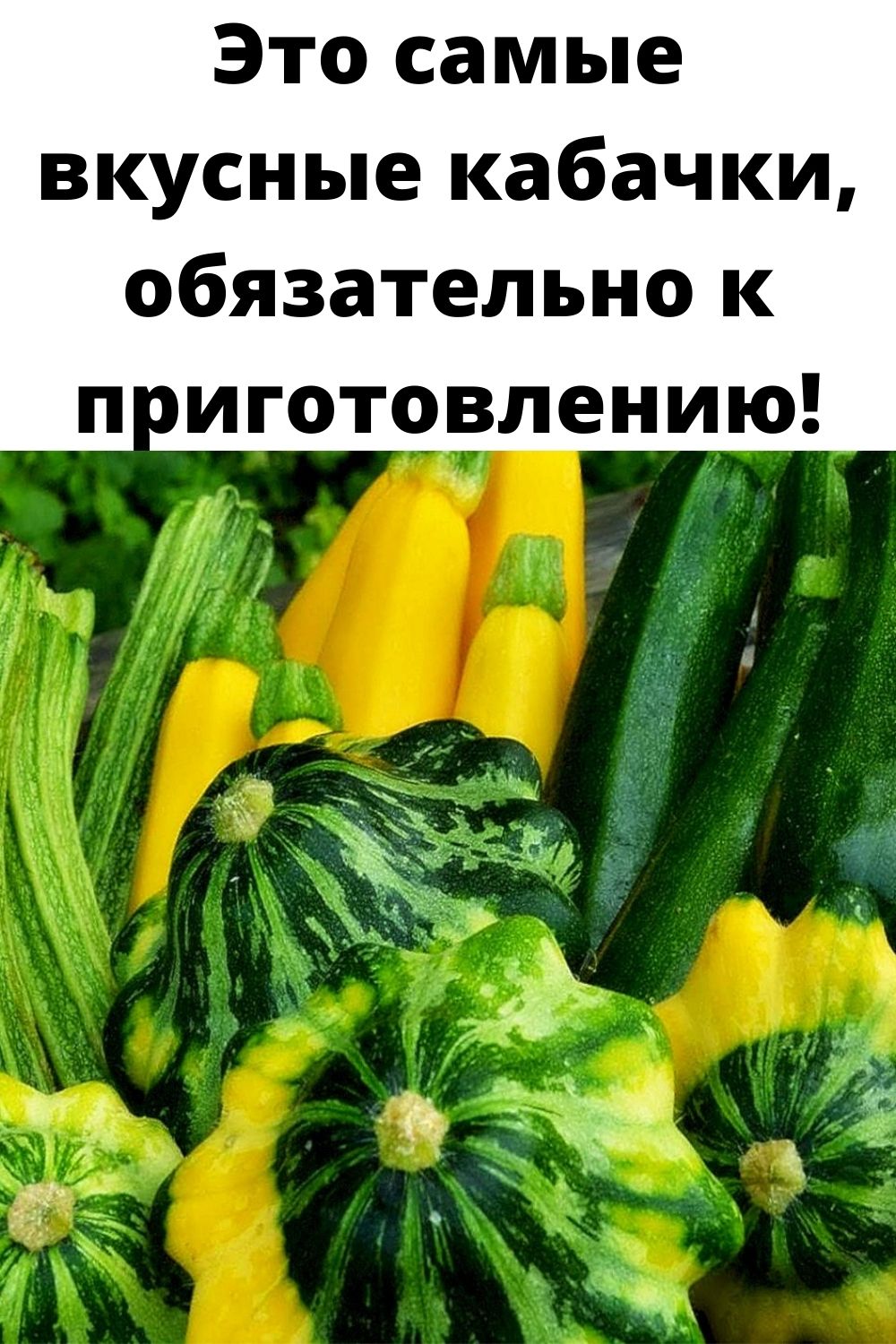 Это самые вкусные кабачки, обязательно к приготовлению!