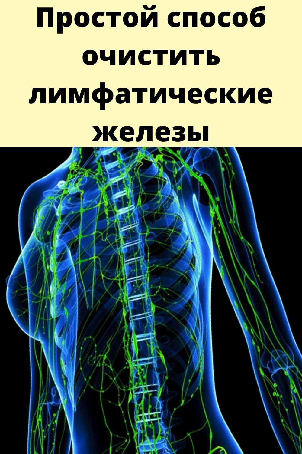 Очищение лимфы. Очистки лимфатической системы. Очищение лимфосистемы. Методы очищения лимфы.