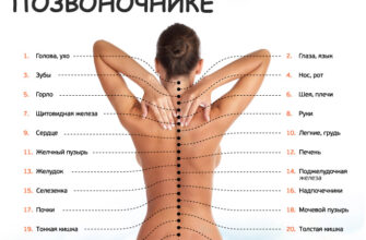 Узнай, как связан позвоночник с другими органами. Причина болей в спине может оказаться сюрпризом.