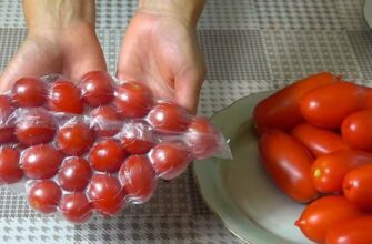Удивительно полезный совет, как хранить томаты круглый год