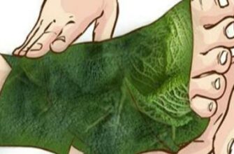 Удивительные результаты, которые вы получаете, когда обматываете ноги листом капусты!