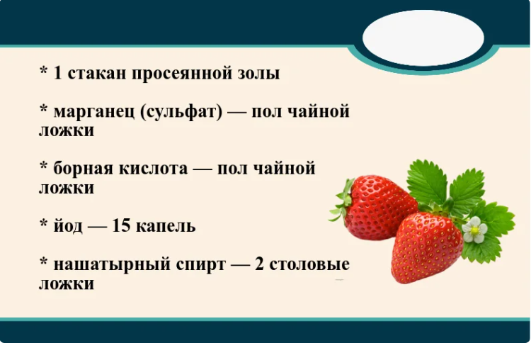 Когда зацвела клубника, готовлю комплексное удобрение, которое повышает урожай в 2 раза