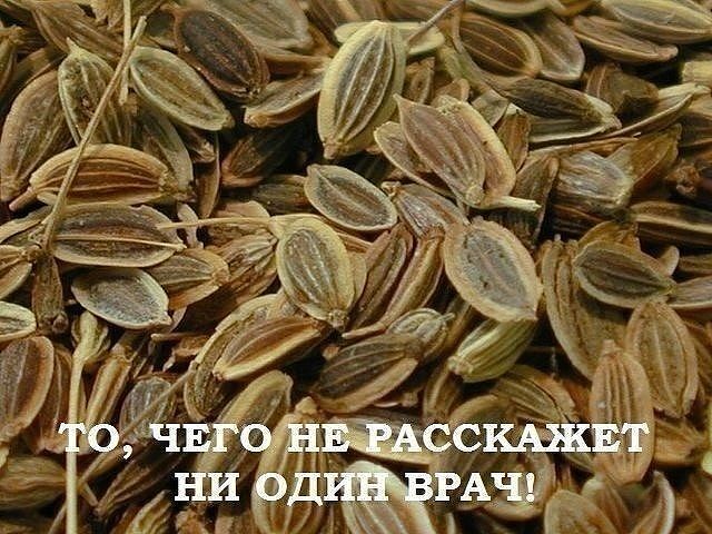 Самые лучшие народные рецепты! Лечим поджелудочную железу.