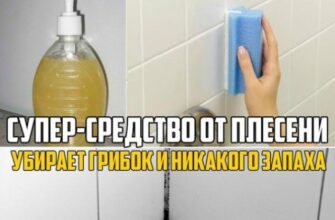 Суперсредство от плесени: убирает грибок на ура и никакого жуткого запаха! Довольна, что нашла.