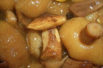 Как приготовить маринованные грибы