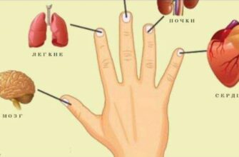Каждый палец связан с 2 органами: Японский метод самоисцеления за 5 минут.