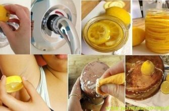 20 необычных способов использования лимонов