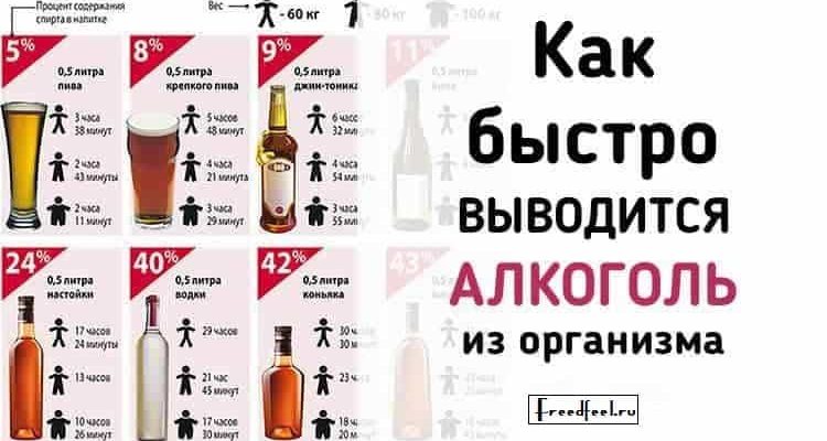 Как быстро выводится алкоголь из организма?Памятка для всех.