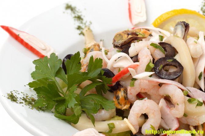 Салат «Морской» — прекрасный вариант праздничного деликатеса