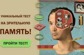 Тест на зрительную память: Насколько вы внимательны к деталям?