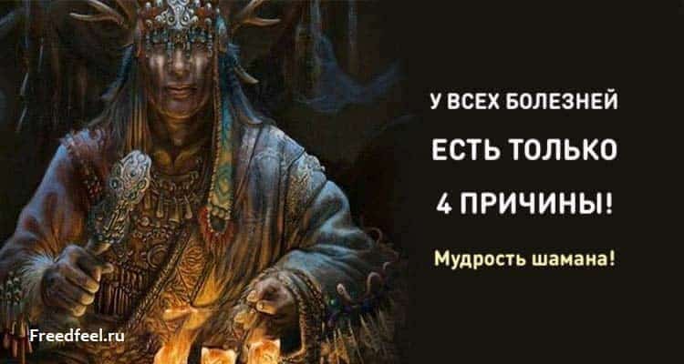 У всех болезней есть только 4 причины. Мудрость шамана!