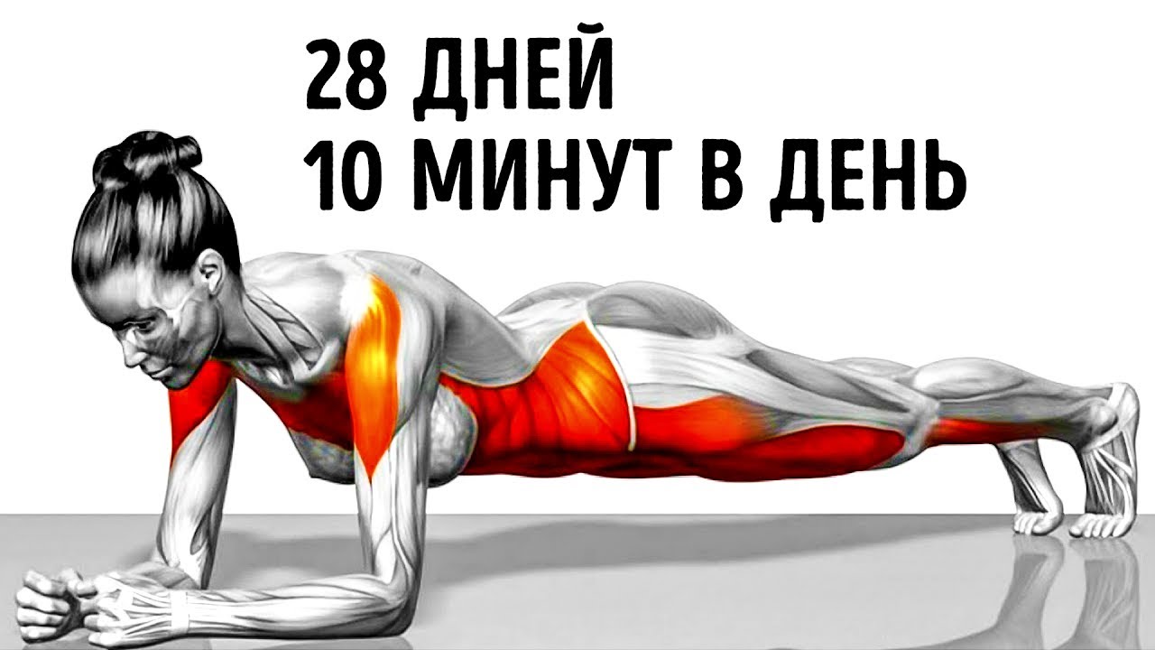 15-минутная тренировка для всего тела, чтобы держать себя в форме