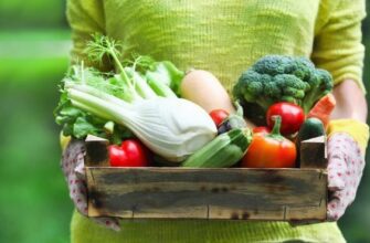 Овощная диета — витаминное похудение!