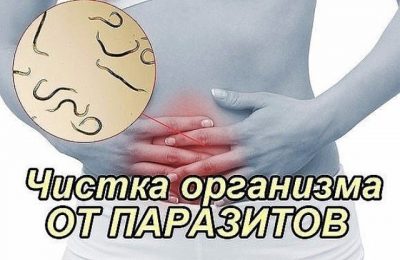 Очищение организма от глистов