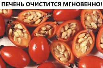 Печень очистится мгновенно!