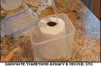 ЗАМОЧИТЕ ТУАЛЕТНУЮ БУМАГУ В УКСУСЕ