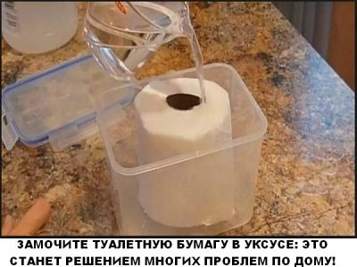 ЗАМОЧИТЕ ТУАЛЕТНУЮ БУМАГУ В УКСУСЕ