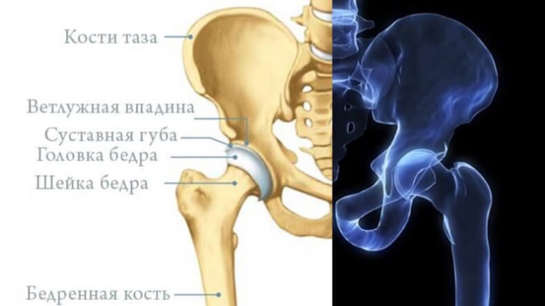 Почему по ночам болит тазобедренный сустав?