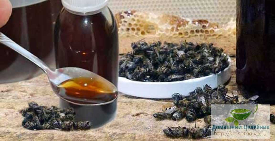 Настойка из пчелиного подмора — спасет от 100 болезней, даже онкологии…