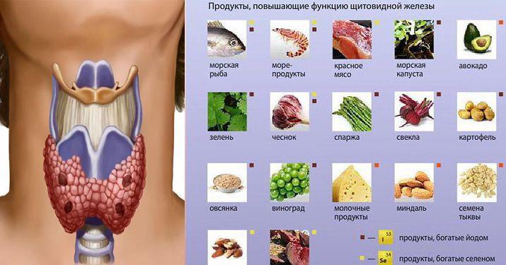 Ваша щитовидка скажет «спасибо» за употребление этих продуктов!