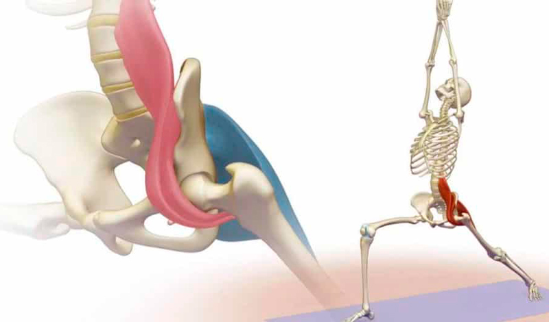 Спазм подвздошно-поясничной мышцы: упражнения на растяжку и расслабление