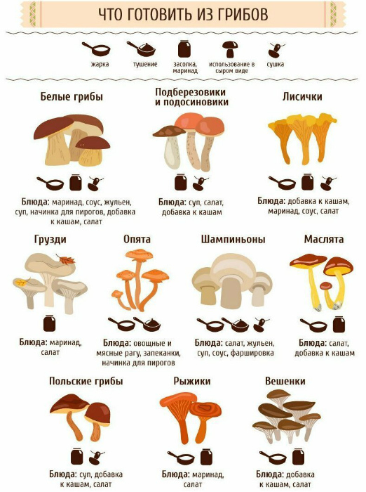 16 кухонных шпаргалок, которые заставят почувствовать себя почти профи