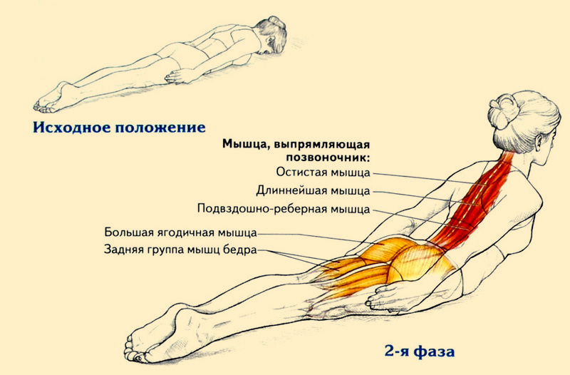 Всего одно упражнение для королевской осанки