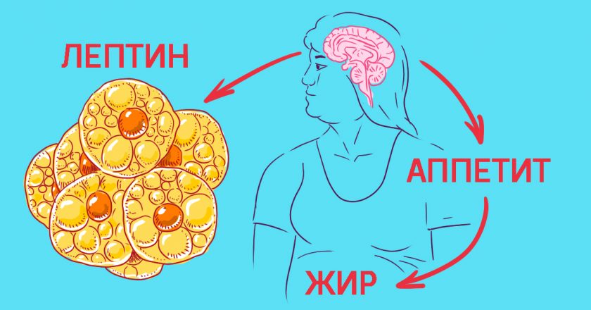 Как управлять голодом: 8 уверенных шагов к вечной стройности. Еда больше не властна над тобой.