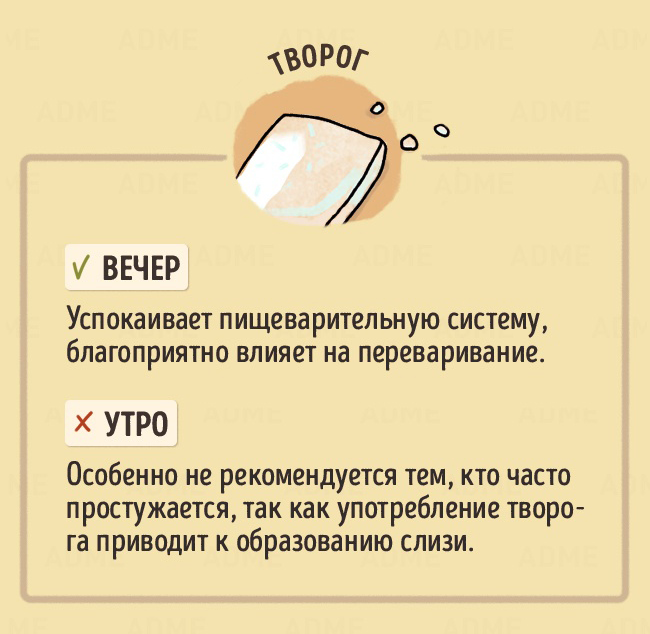 В какое время дня лучше есть те или иные продукты