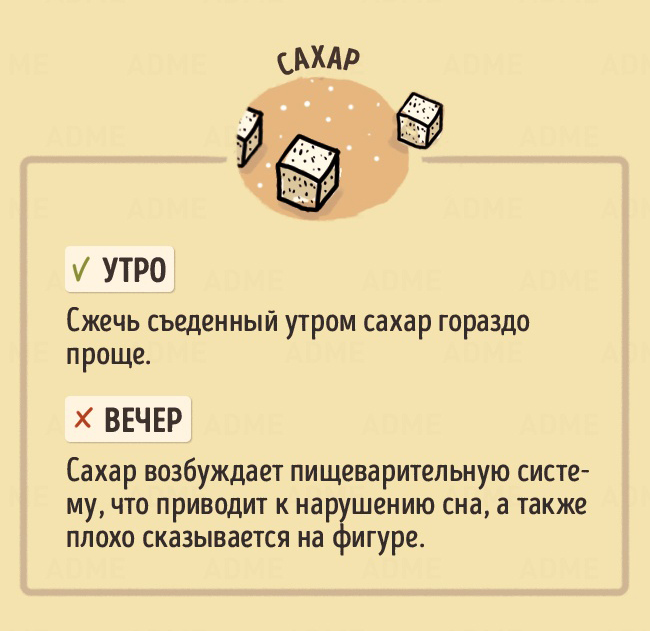 В какое время дня лучше есть те или иные продукты