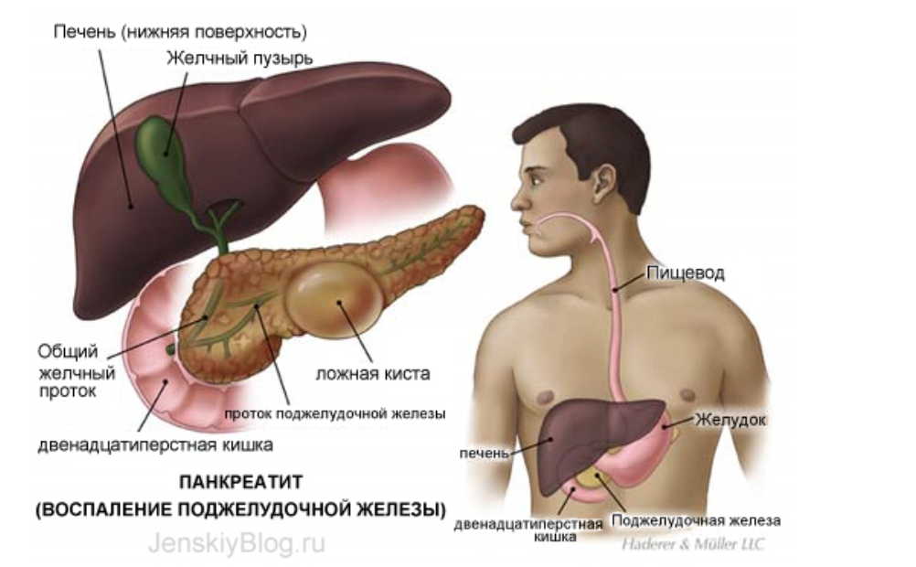 Три важных народных средства для лечения поджелудочной железы