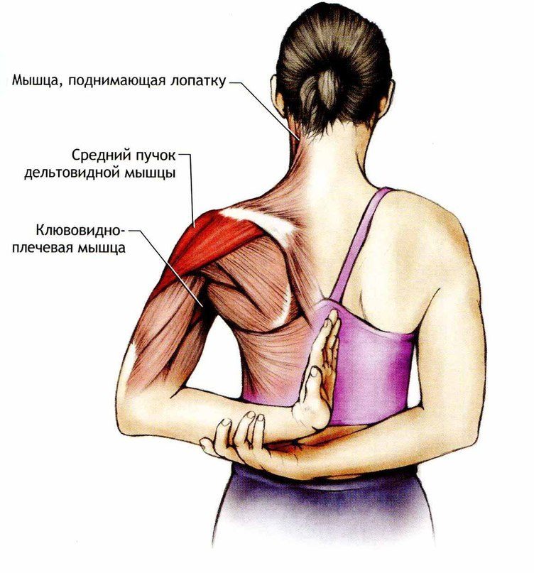 5 упражнений, которые подтянут лицо