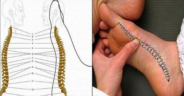 Болит спина? Благодаря этому чудодейственному массажу стоп ты избавишься от проблемы!