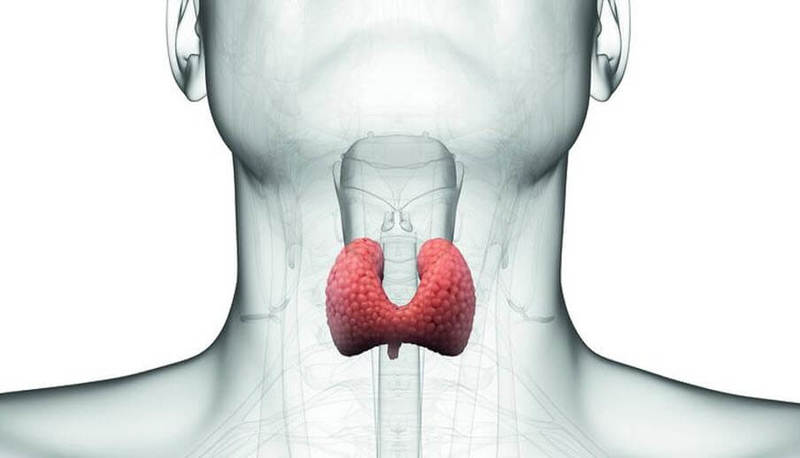 7 проблем щитовидной железы, которые ваш доктор мог упустить