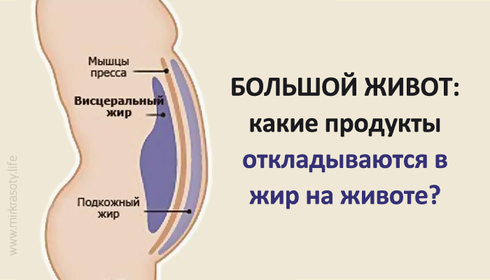 Большой живот: какие продукты провоцируют образование жира вокруг талии?