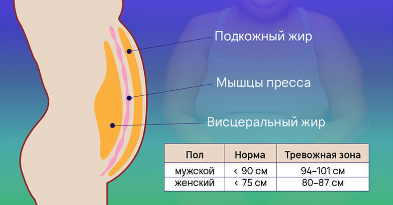 ЖИВОТный жир: Чем опасен висцеральный жир и что делать?