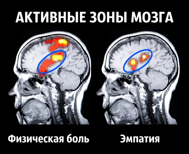 8 советов нейробиолога о том, как стать счастливым раз и навсегда