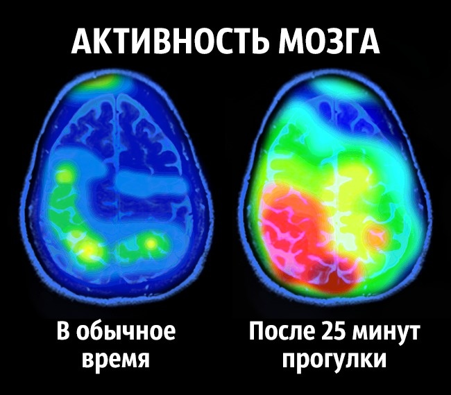 8 советов нейробиолога о том, как стать счастливым раз и навсегда