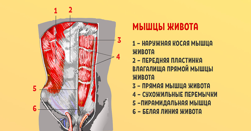 Золотое упражнение пилатеса. «Сотня» для абсолютно всех мышц брюшной полости!