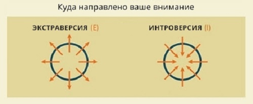 Ответьте честно на 4 вопроса — и получите самую точную оценку вашей личности!