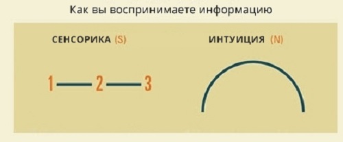 Ответьте честно на 4 вопроса — и получите самую точную оценку вашей личности!